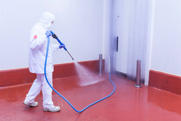 Best Restaurant Pressure Washing  in Waynesville, MO